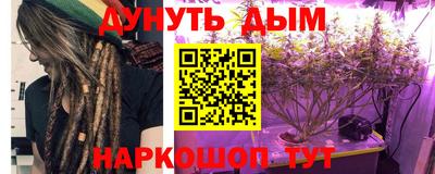 шишки Краснознаменск