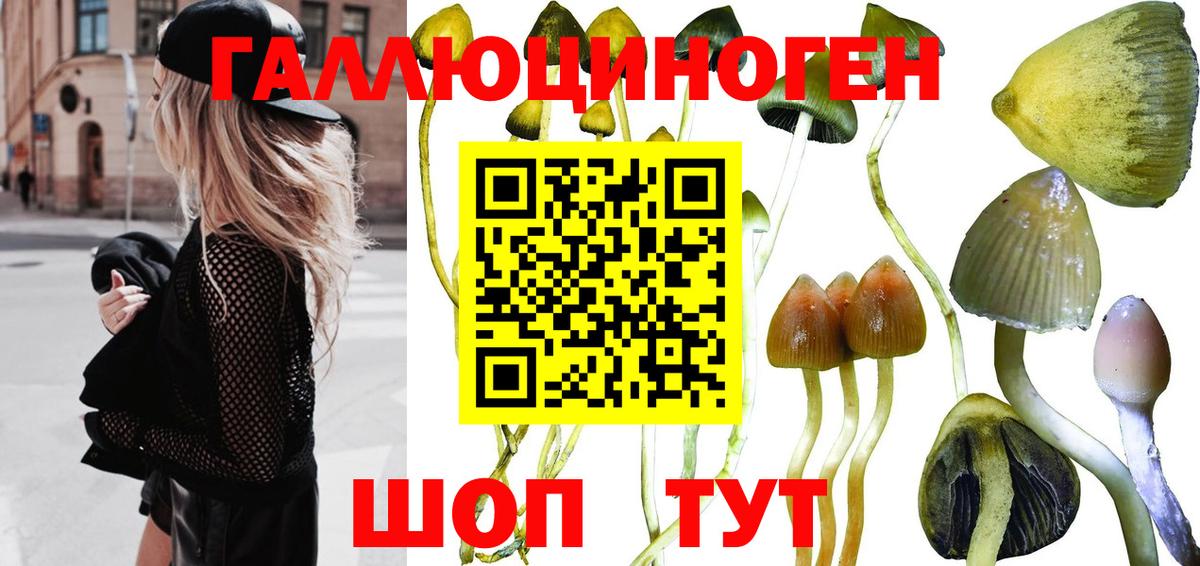 Псилоцибиновые грибы MAGIC MUSHROOMS Алапаевск