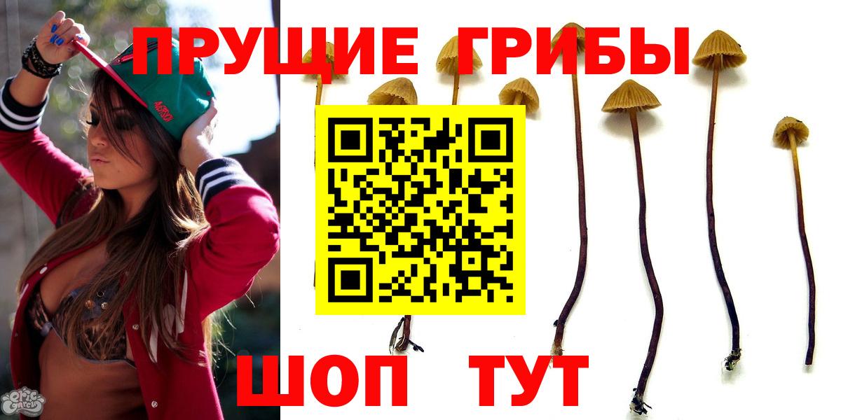 Псилоцибиновые грибы MAGIC MUSHROOMS  Вход с VPN  Алапаевск  Псилоцибиновые грибы мицелий 